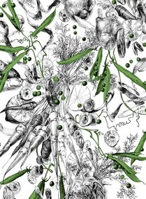 Edmond Petit Carta da parati Feu d'Artifice Lègumes - Feu d'Artifice Lègumes - Petits Pois