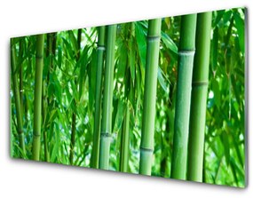 Quadro in vetro Pianta a stelo di bambù 100x50 cm