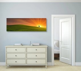 Quadro su tela – Albero nel prato