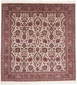 Bidjar Tappeto persiano 160 x 150 (Iran) Annodato A Mano