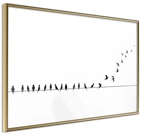 Poster  Birds on a Wire  Cornice Quadri Cornice d'oro, Larghezza x Altezza Home decor 30x20