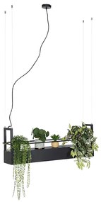 Lampada a sospensione industriale nera con mensola 4 luci GU10 - Cage Rack