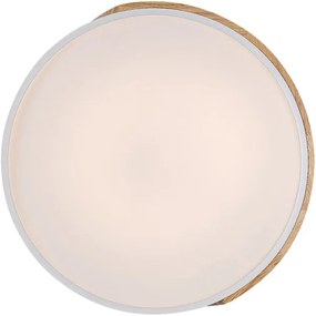 Rabalux 3527 - Plafoniera LED MAPLE LED/24W/230V bianco