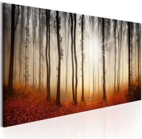 Quadro Autumnal Fog  Colore Arancione, Dimensioni e Misure 120x40