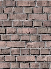 Rebel Walls Carta da parati Bricks - Clay