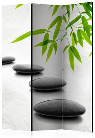 Paravento  Zen Stones [Room Dividers]  Colore Nero, Dimensioni e Misure 135x172