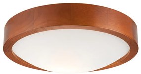 Lampada da soffitto 1xE27/60W/230V