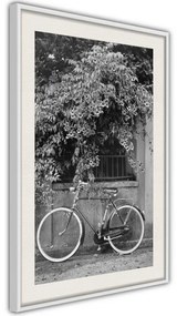 Poster  Bicycle with White Tires  Cornice Quadri Cornice d'oro con passe-partout, Larghezza x Altezza Home decor 30x45