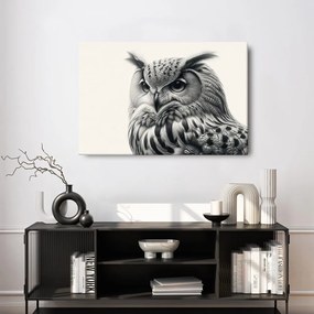 Quadro su tela – Ritratto di gufo in bianco e nero