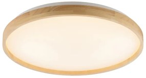 Brilliant - Plafoniera dimmerabile a LED ALSON LED/21W/230V beige + telecomando