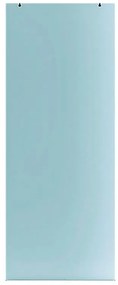Anta per porta scorrevole esterno muro Neutra in vetro, L 96 x H 215 cm spessore 10 mm, apertura reversibile