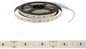 Striscia LED Professional per Banco Carni