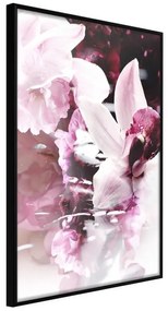 Poster  Flowers on the Water  Cornice Quadri Cornice nera, Larghezza x Altezza Home decor 30x45