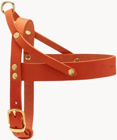 Imbracatura per cani in pelle Classic, varie misure