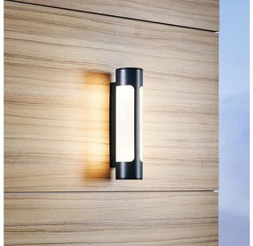 Eglo 97119 - Applique a LED da esterno TONEGO 2xLED/6W/230V