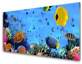 Pannello retrocucina Natura dei pesci della barriera corallina 100x50 cm