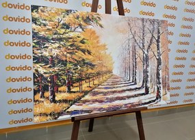 Quadro su tela – Viale alberato autunnale