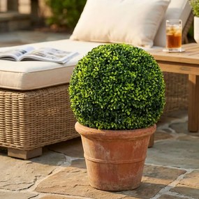 Sfera di bosso artificiale