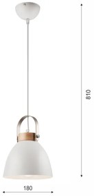 Lampadario a cavo DANIELLE 1xE27/60W/230V