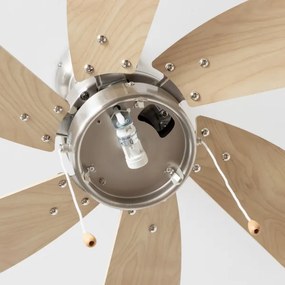 ZEVENTI - Ventilatore da soffitto FAMARA 1xE14/60W/230V beige