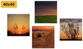 Set di quadri – Tramonto romantico sul prato