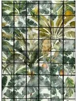 Mindthegap Carta da parati Orangerie - WP20176