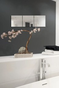 Set di specchi da parete 3 pz 30x30 cm – MSV