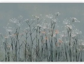 Carta da Parati Fiori d'Aglio Premium 450x315
