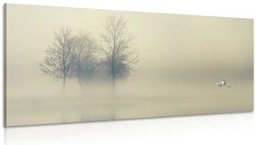 Stampa su tela – Alberi nella nebbia