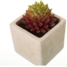 Piante artificiali in set da 6 (altezza 9,5 cm) Cactus - Casa Selección