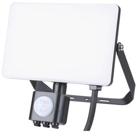 Proiettore LED per esterni con sensore LED/30W/230V 5000K IP44