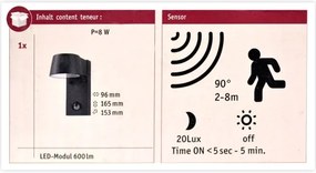 Paulmann 94453 - LED/6W IP44 Applique da esterno con sensore CAPEA 230V