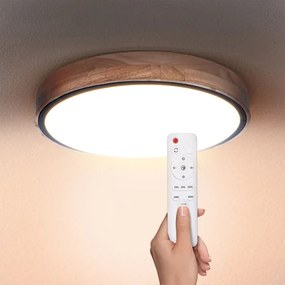 Brilagi - Lampada LED da soffitto dimmerabile GLORIA LED/48W/230V 3000-6500K + D