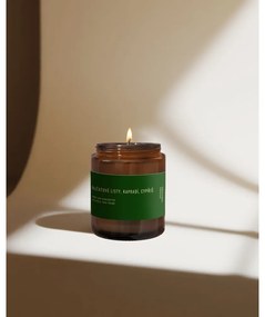 Candela in cera di soia profumata #80 Tomato Leaf, Cypress, Fern – Perfumed Prague