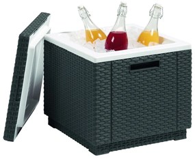 Tavolo da giardino con vaschetta per il ghiaccio 42x42 cm - Keter