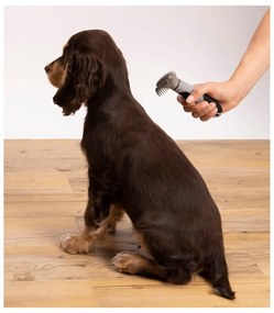 Taglianodi – Love Story