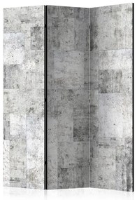 Paravento  Concrete: Grey City [Room Dividers]  Colore ---, Dimensioni e Misure 135x172