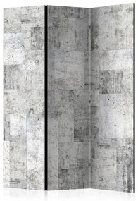 Paravento Concrete: Grey City [Room Dividers]