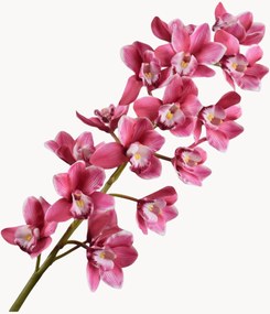 Set di 2 fiori artificiali Cymbidium