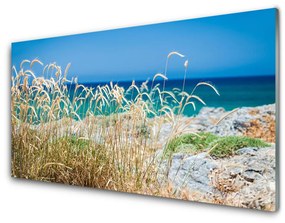 Rivestimento parete cucina Paesaggio da spiaggia 100x50 cm