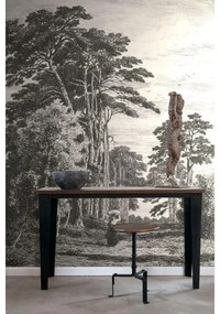 Fotomurale Paesaggio, bianco e nero