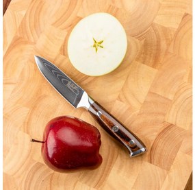 Gudaro - Coltello da cucina in acciaio damascato FENG 3,5", 67 strati d'acciaio, lunghezza 9,5 cm