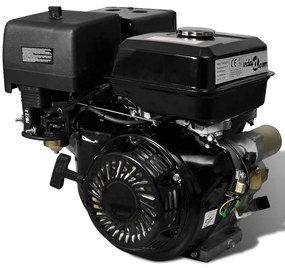 Motore A Benzina 15 Hp 11 Kw Nero /
