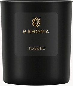 Candela profumata Obsidian (fico nero)