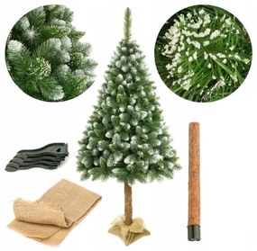 Albero di Natale su tronco di pino da 220 cm