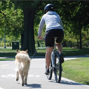 Petego guinzaglio universale da bicicletta per cani cycleash 85 cm