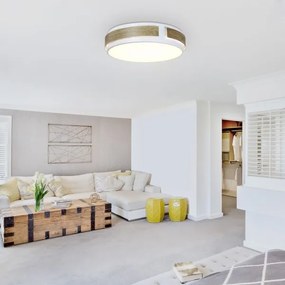 Rabalux 5646 - Plafoniera LED dimmerabile SALMA LED/24W/230V