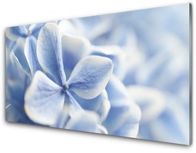 Quadro vetro acrilico Fiori, petali, natura 100x50 cm