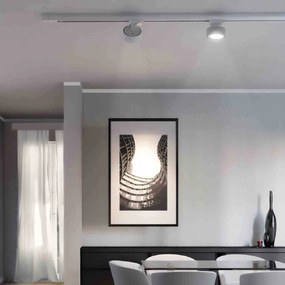 Faro LED 36W Slim per Binario Trifase Orientabile 60° Bianco CCT Bianco Variabile Colore Bianco Variabile CCT