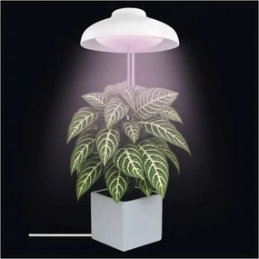 Lampada LED da interno per la coltivazione di piante GROW LED/5W/5V